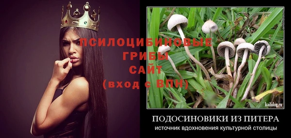 дживик Абинск