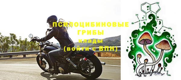спиды Абаза