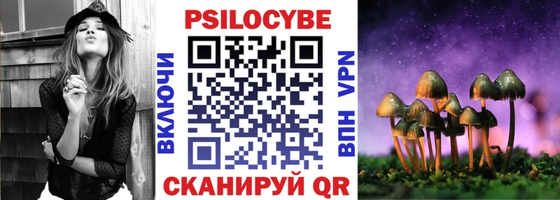 где купить наркоту Циолковский Галлюциногенные грибы мицелий